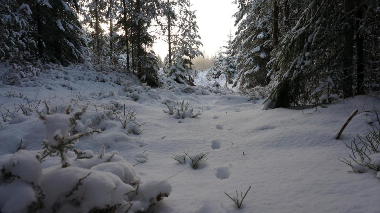 Bjoernvalsfallet Deje Exteriér fotografie