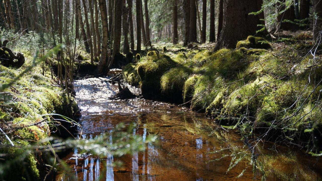 Bjoernvalsfallet Deje Exteriér fotografie